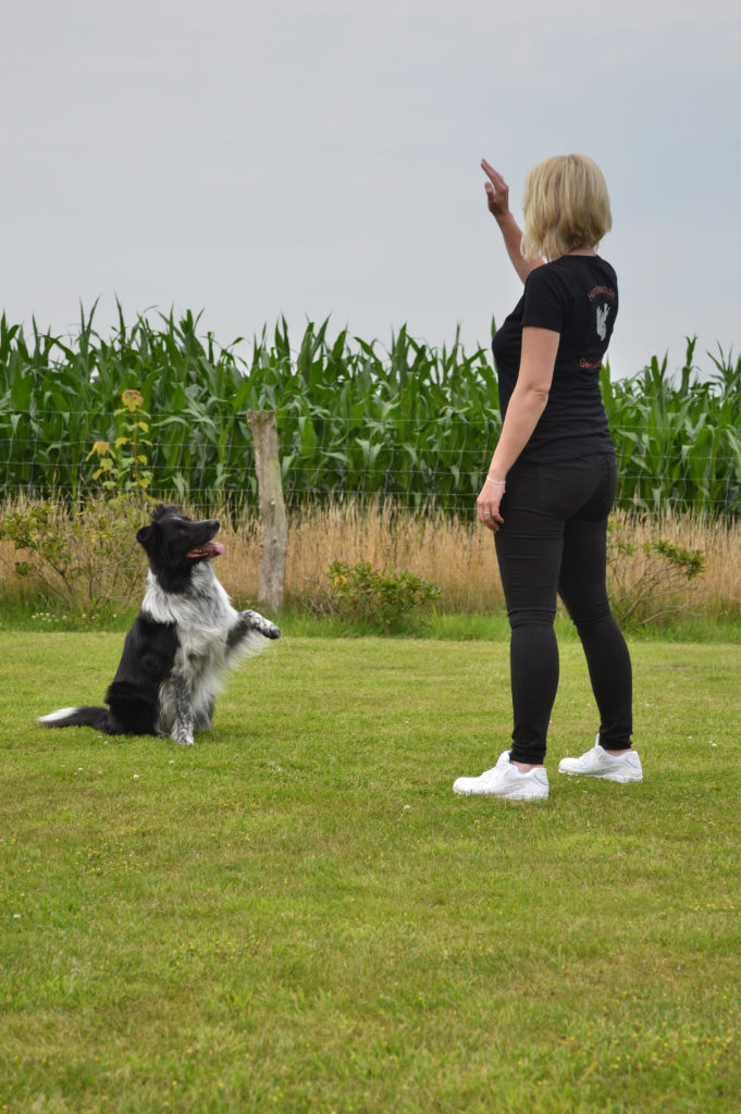 Hanna und Rasko Crossbility