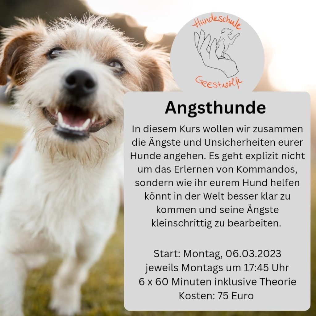 Start: Montag 06.03.23
jeweils Montags um 17:45 Uhr
6 x 60 Minuten inklusive Theorie
Kosten: 75 Euro